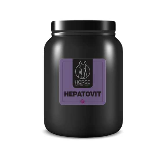 Hepatovit est un complément alimentaire pour chevaux de la marque HNP-Horse Nutrition Project