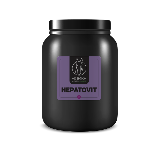 Hepatovit est un complément alimentaire pour chevaux de la marque HNP-Horse Nutrition Project