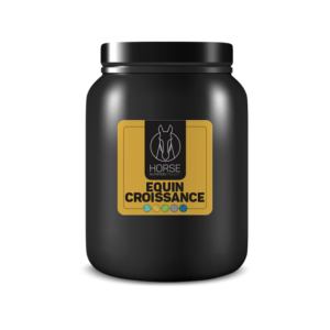 Equin croissance est un complément alimentaire pour chevaux en croissance de la marque HNP-Horse Nutrition Project