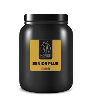Senior Plus
