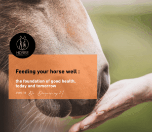 Feeding your horse well: the foundation of good health, today and tomorrow