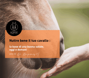 Nutire bene il tuo cavallo: la base di una buona salute, oggi e domani