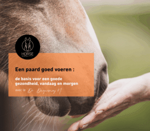Een paard goed voeren: de basis voor een goede gezondheid, vandaag en morgen